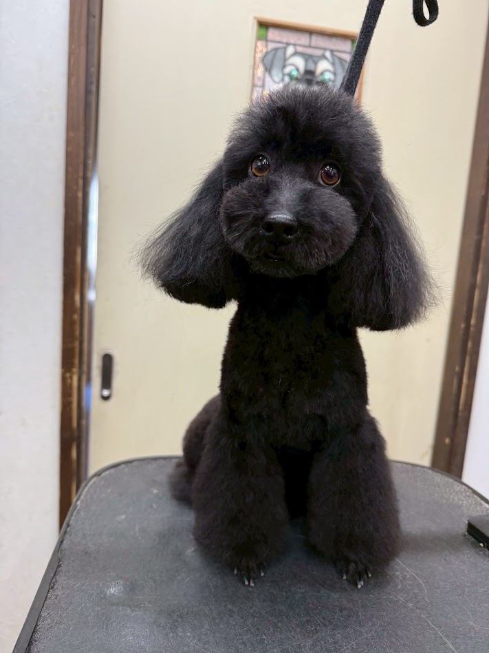 1月16日(金)のお客さま(^^♪