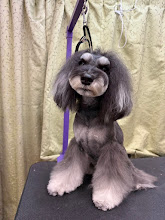 1月17日(土)のお客さま(^^♪