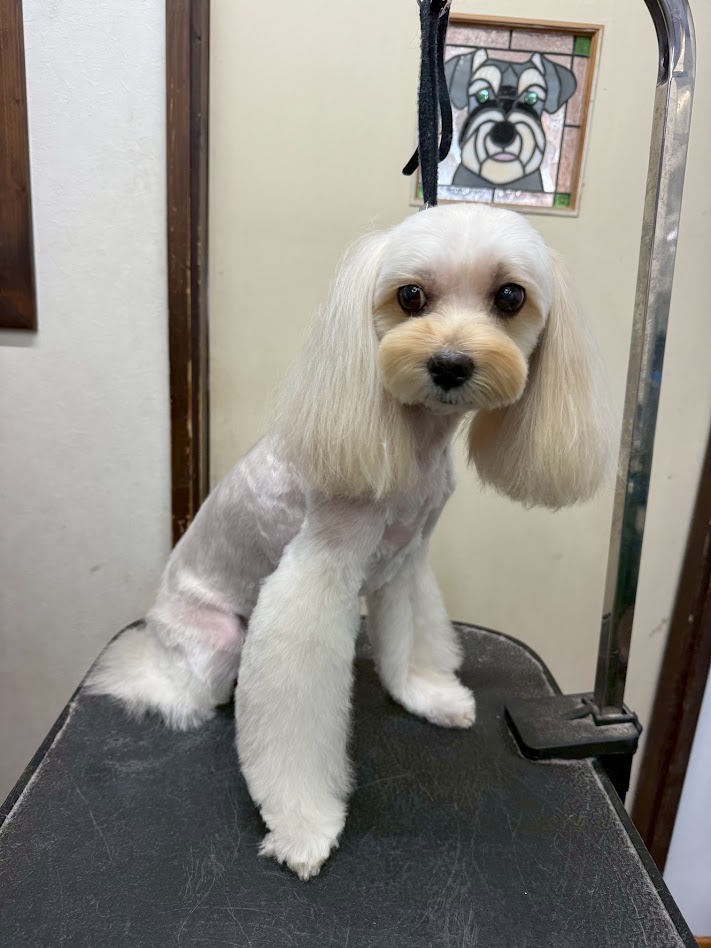 1月18日(日)のお客さま(^^♪