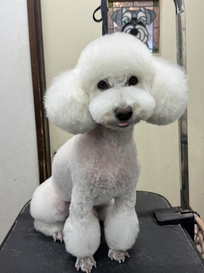 1月21日(水)のお客様(^^♪