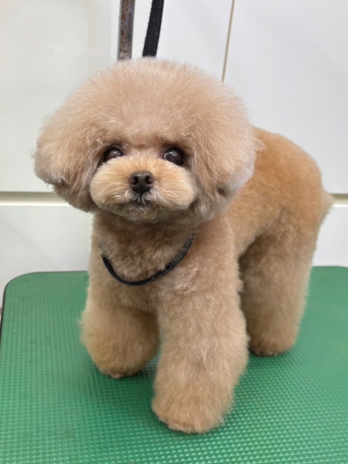 1月23日(金)のお客様(^^♪明日はお休みです。