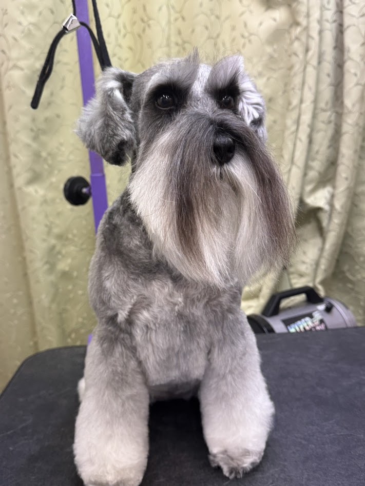 1月26日(日)のお客様(^^♪明日はお休みです。