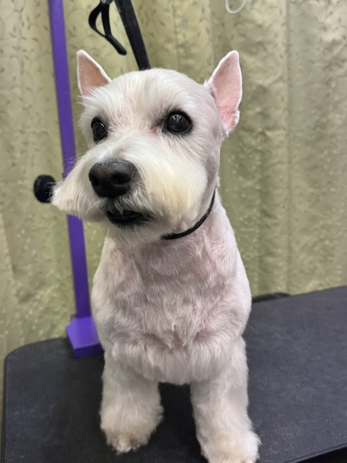 1月27日(火)のお客様(^^♪