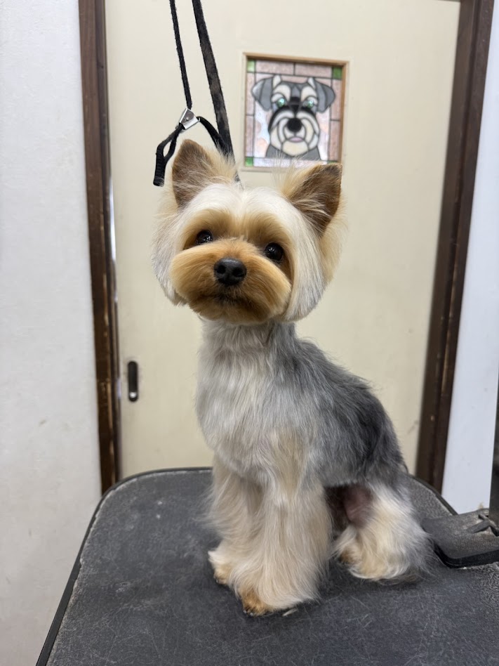 １月２８日(水)のお客様(^^♪