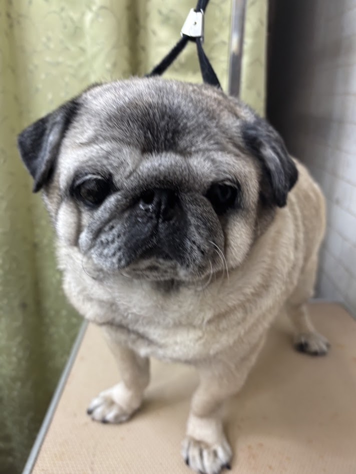 １月３０日(金)のお客さま(^^♪