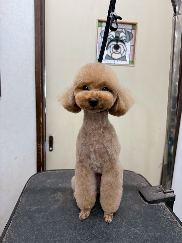 １月３１日（土）のお客様(^^♪　明日はお休みです。