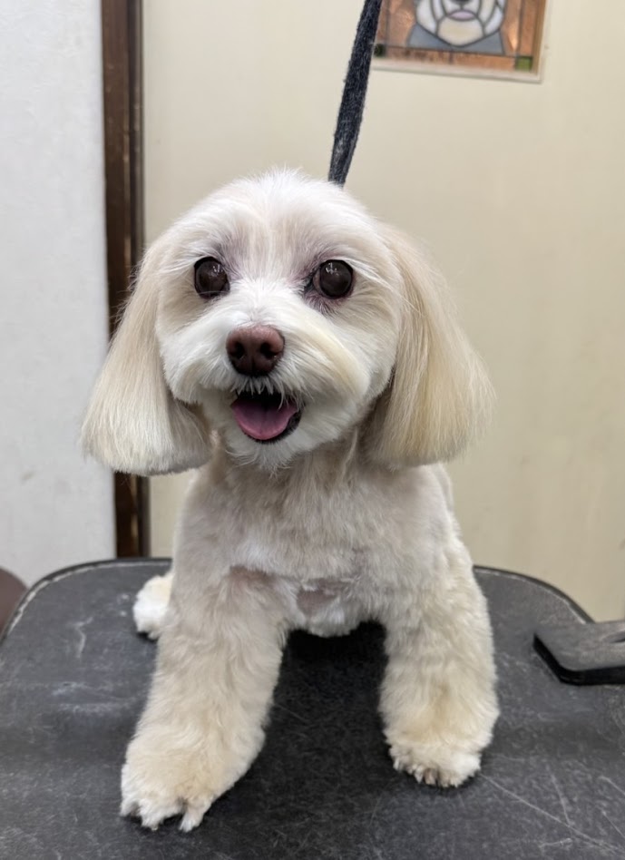 ２月２日(月)のお客さま(^^♪