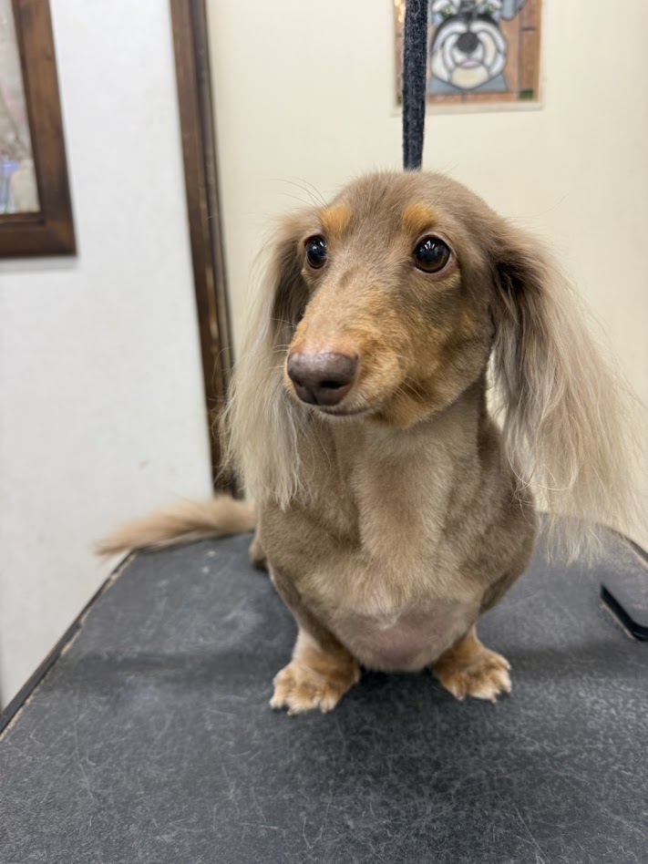 ２月３日のお客様(^^♪