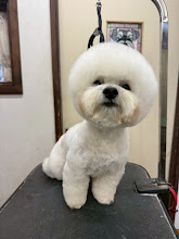 ２月４日(水)のお客様(^^♪