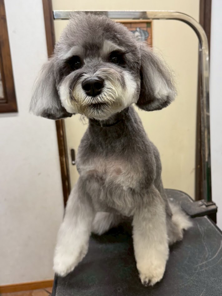 ２月６日（金）のお客様(^^♪