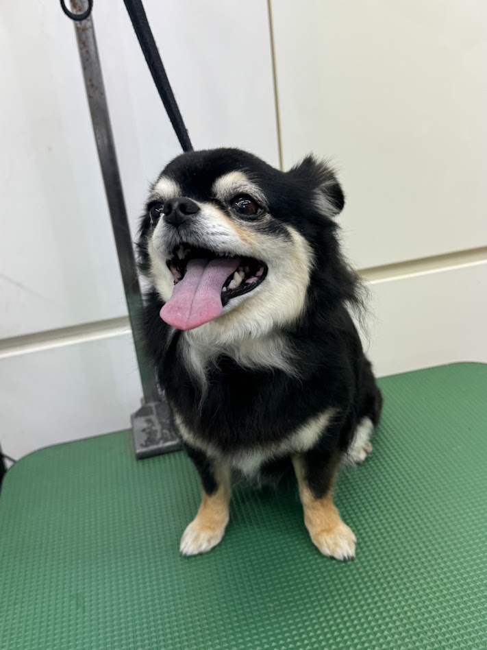 ２月９日のお客様(^^♪