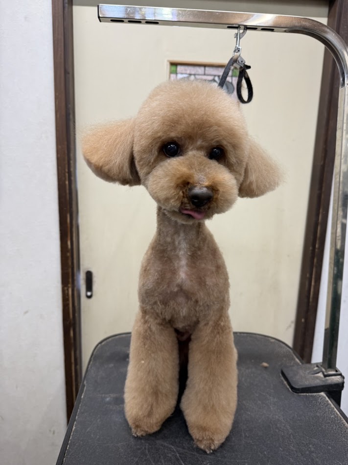 ２月１０日のお客様(^^♪明日、明後日はお休みですm(__)m