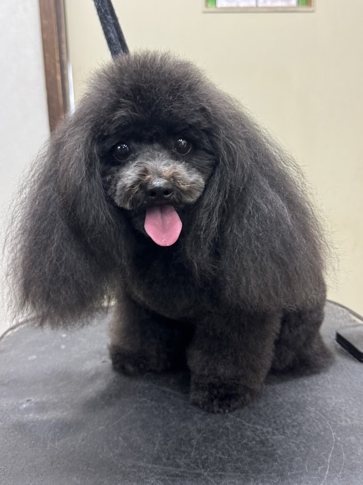 2月１３日(金)のお客さま(^^♪