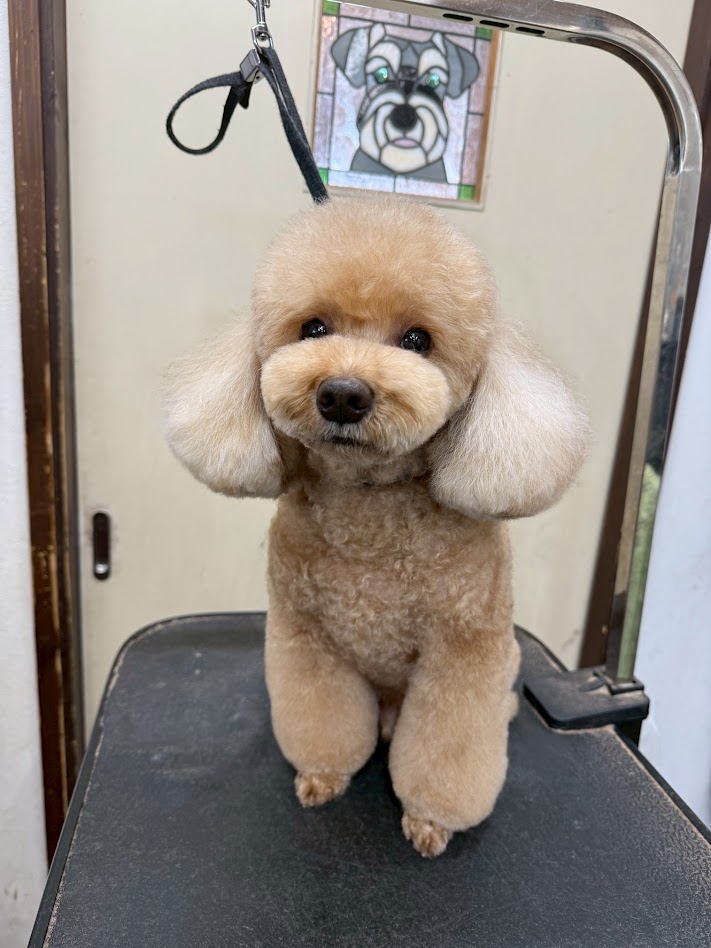 2月14日のお客様(^^♪