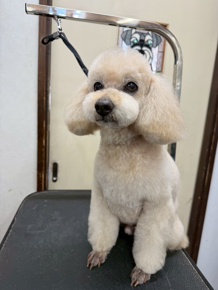 2月15日(土)のお客さま(^^♪