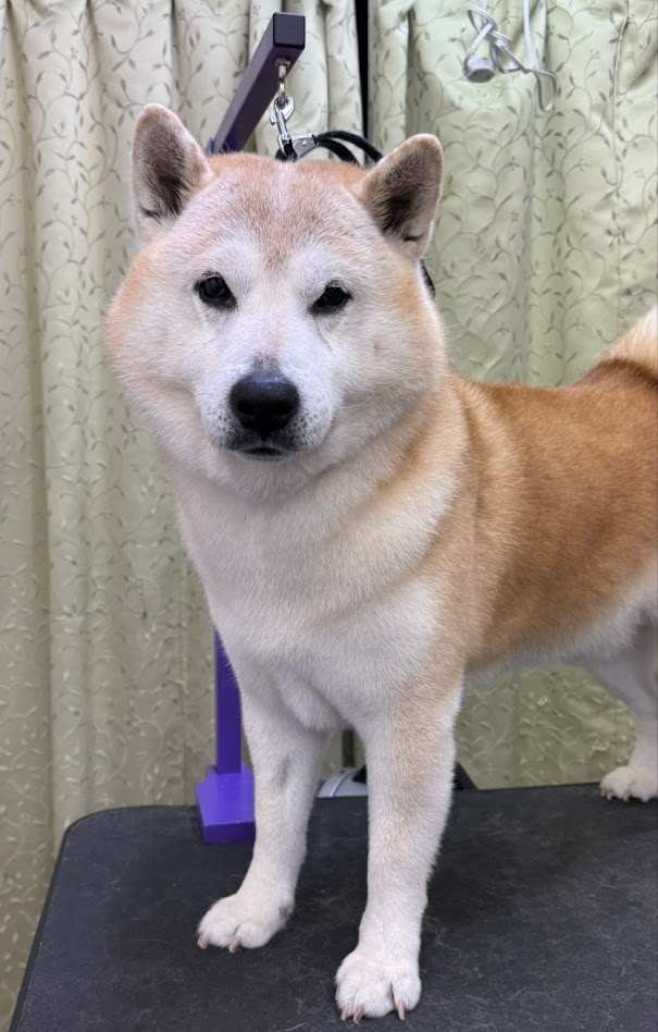 2月18日(水)のお客さま(^^♪