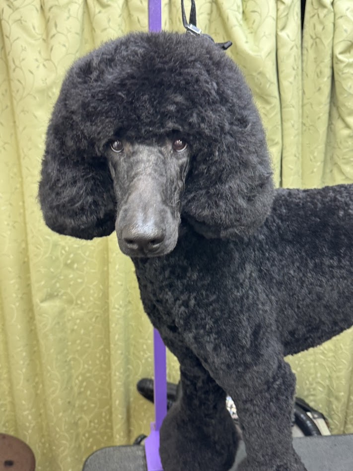 ２月２０日（金）のお客様(^^♪