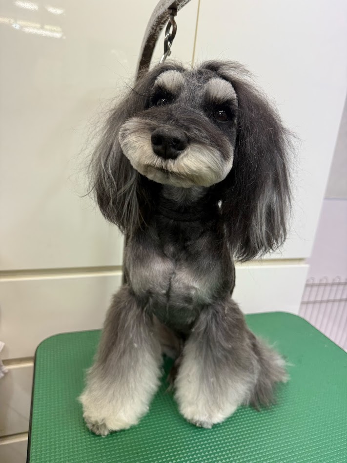 2月21日(土)のお客様(^^♪