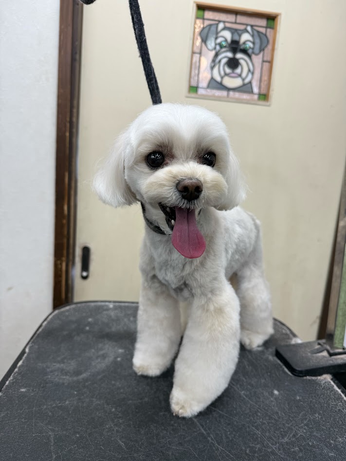 ２月２４日(火)のお客さま(^^♪