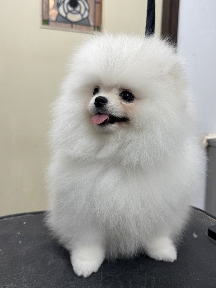 2月27日(金)のお客さま(^^♪