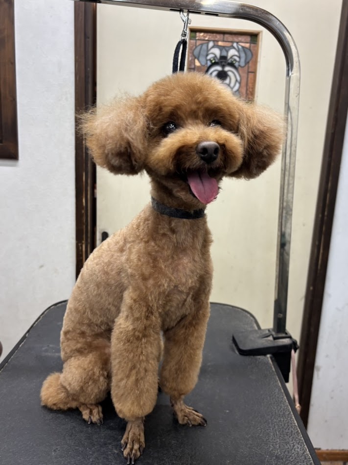 2月28日(土)のお客様(^^♪明日はお休みです。