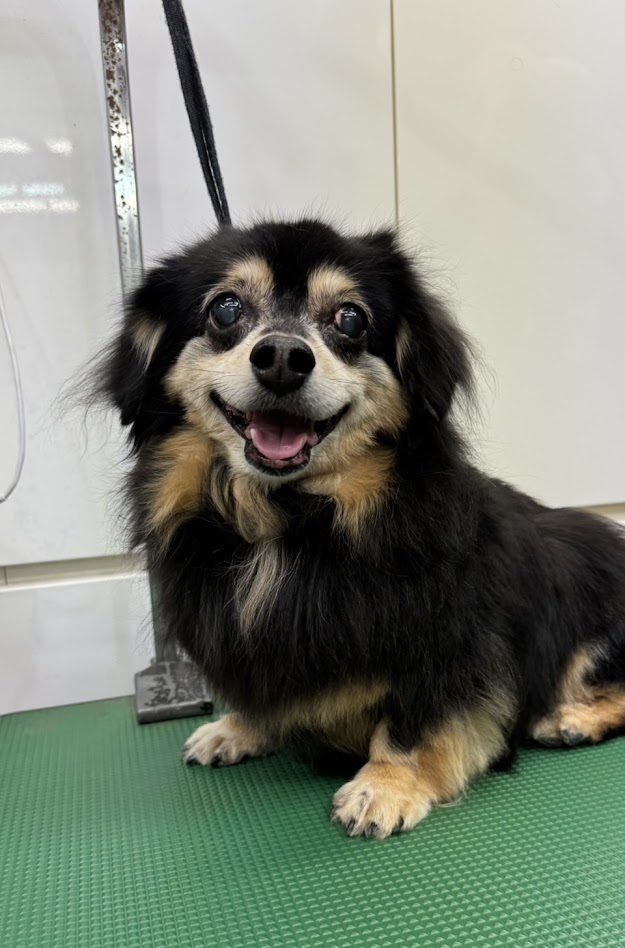 3月3日(火)のお客さま(^^♪