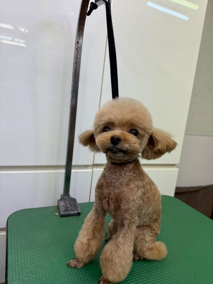 3月4日(水)のお客さま(^^♪