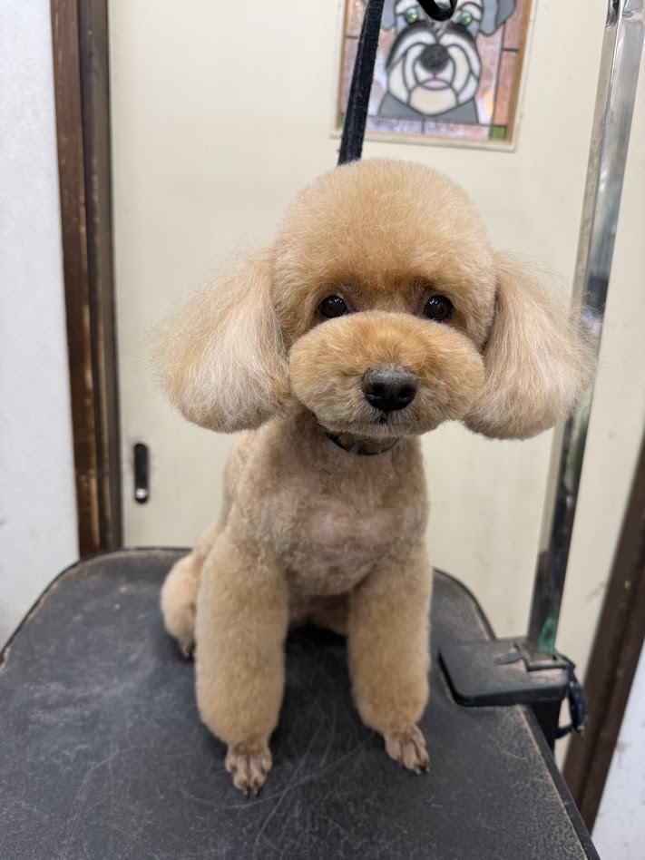 ３月６日(金)のお客さま(^^♪