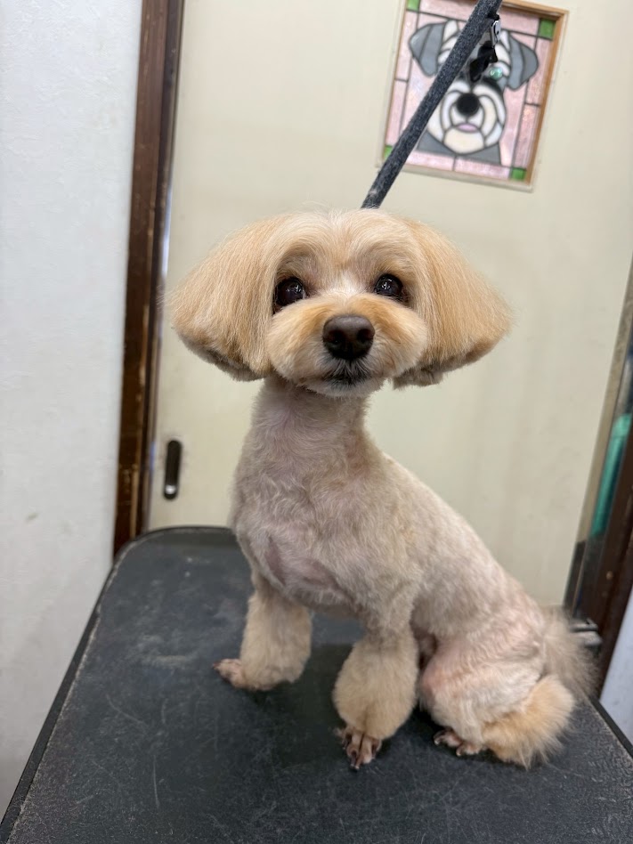 3月8日(日)のお客さま(^^♪