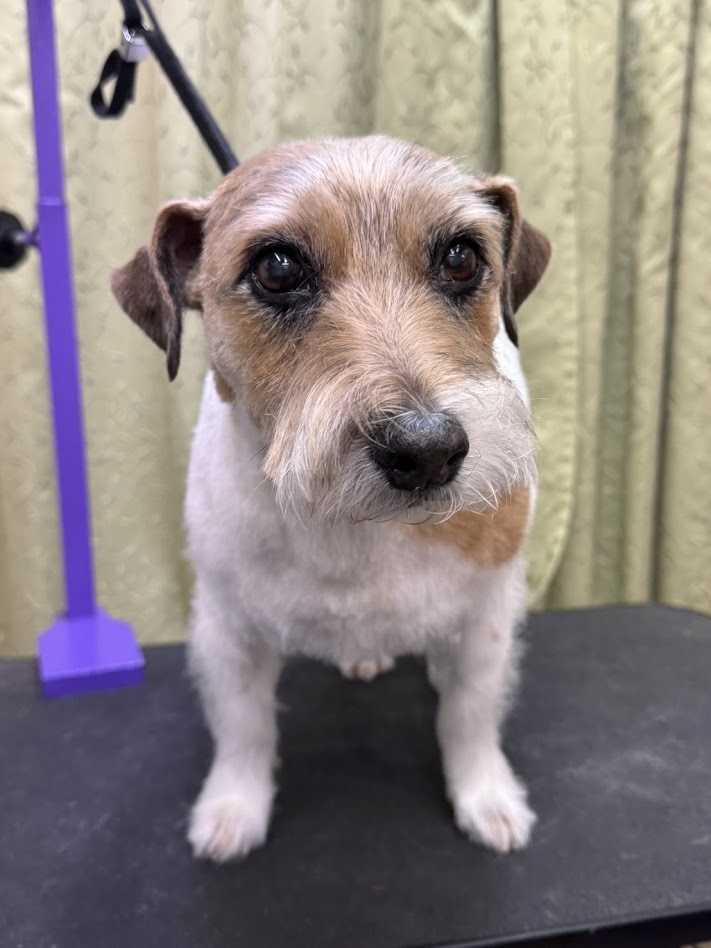 ３月９日(月)のお客さま(^^♪