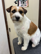 ３月１０日(火)のお客さま(^^♪