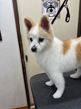 ３月１４日（土）のお客様(^^♪　明日はお休みです。