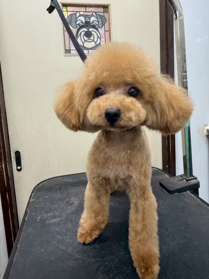 ３月１７日のお客さま(^^♪