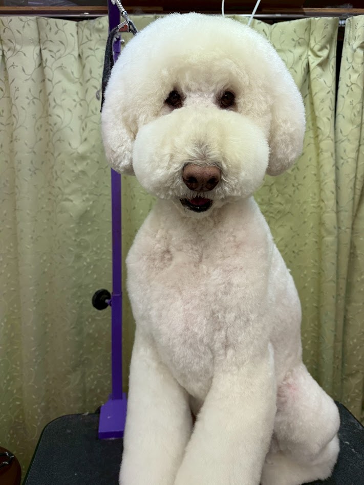 ３月１８日(水)のお客さま(^^♪