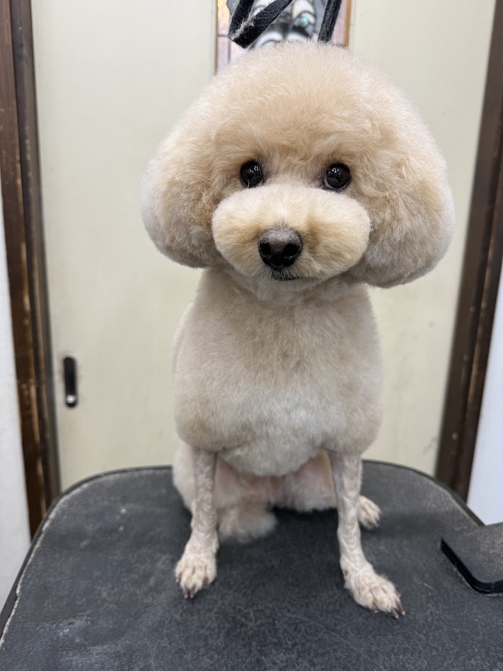 3月23日(月)のお客さま(^^♪