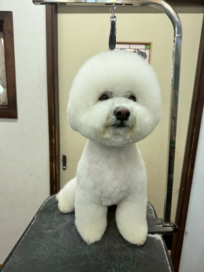 3月24日(火)のお客さま(^^♪