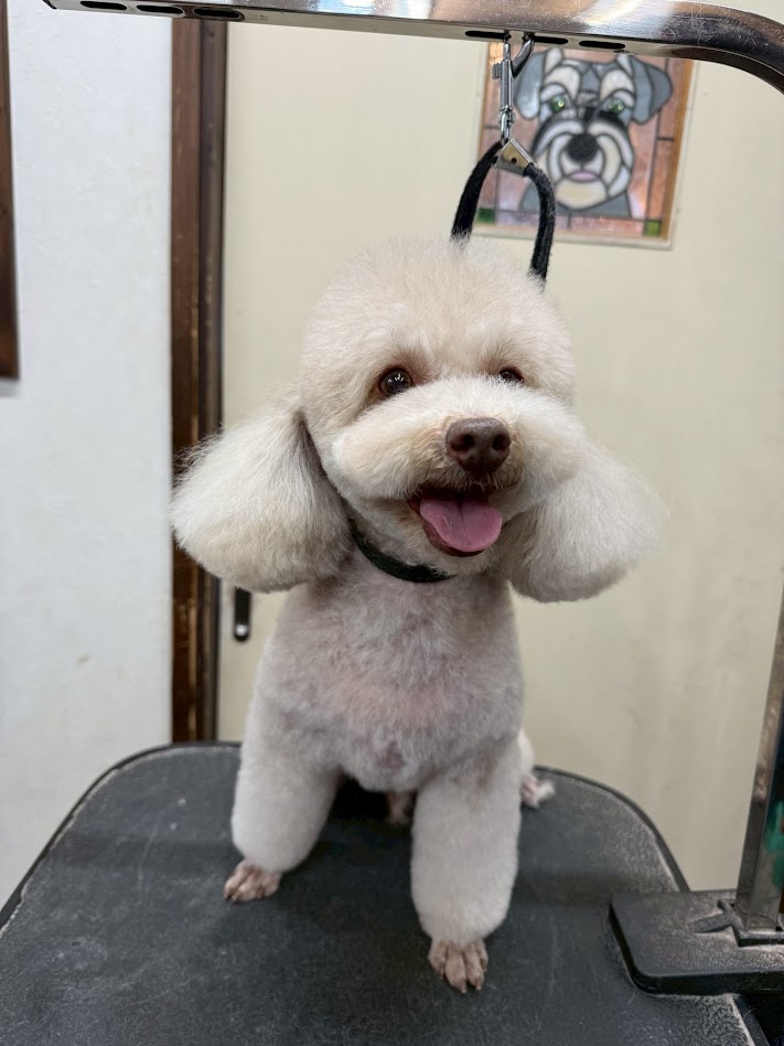 3月25日(水)のお客さま(^^♪