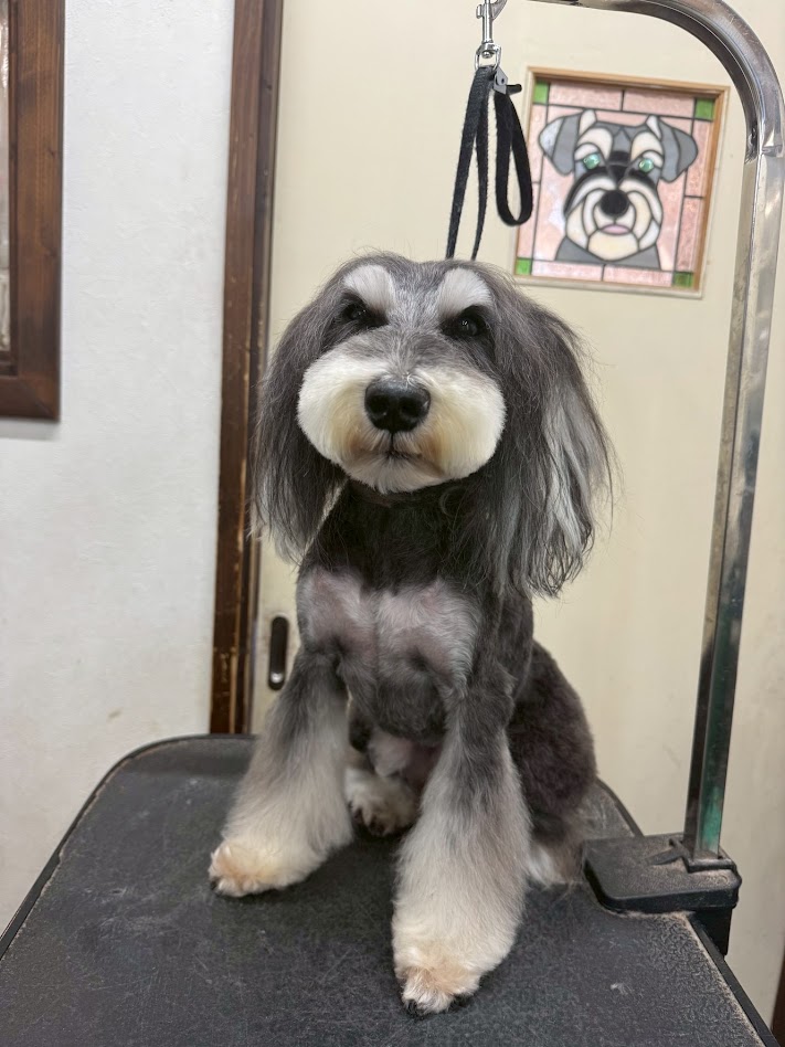 3月27日(金)のお客さま(^^♪