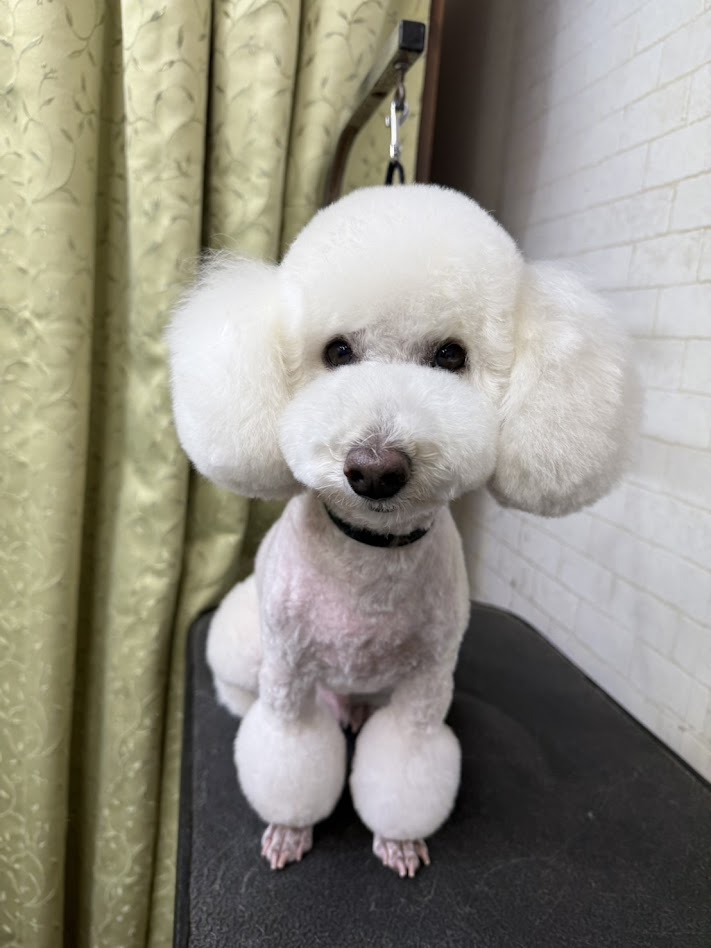 3月28日(土)のお客さま(^^♪