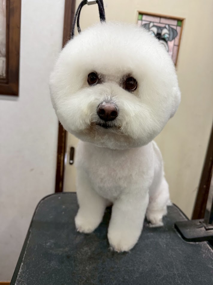 3月29日(日)のお客さま(^^♪