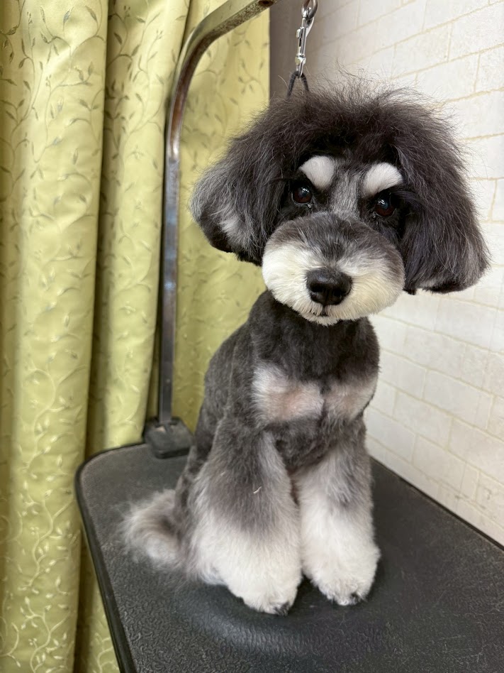 3月31日(火)のお客さま(^^♪