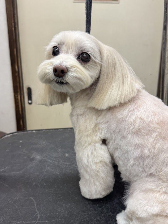 4月３日(金)のお客さま(^^♪