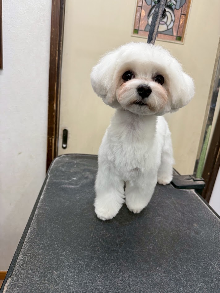 4月4日(土)のお客さま(^^♪