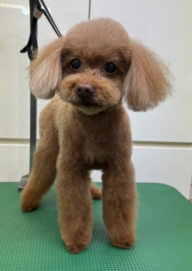 4月5日(日)のお客様(^^♪