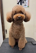 4月6日(月)のお客さま(^^♪