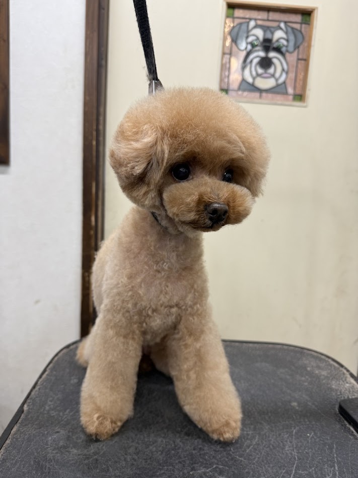 4月10日(金)のお客さま(^^♪