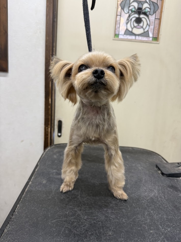 ４月１１日(土)のお客さま(^^♪