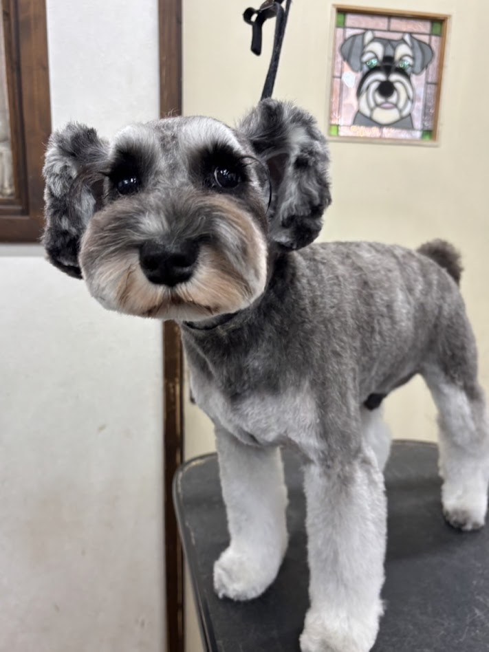 4月12日(日)のお客さま(^^♪