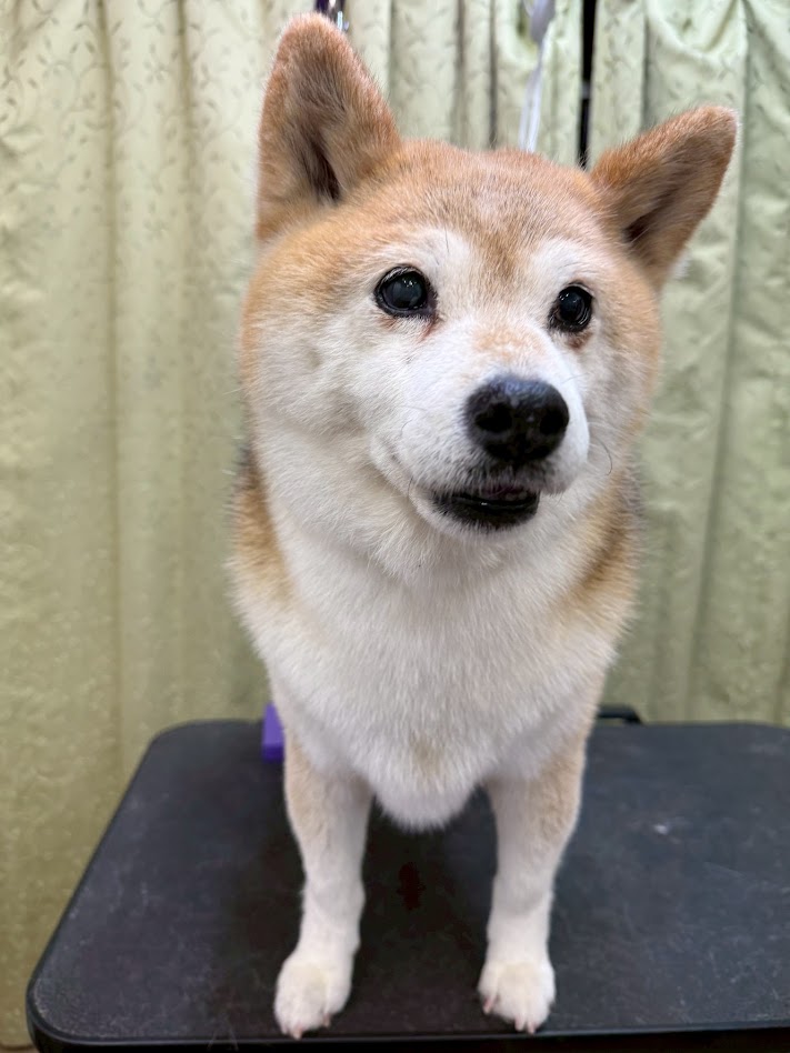 4月14日(火)のお客さま(^^♪