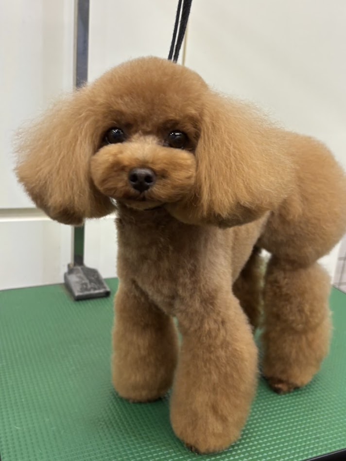 9月11日のお客さま(^^♪
